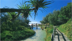 Card from Fraser Island