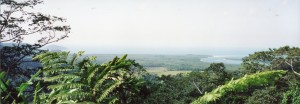 Mouth of Daintree River