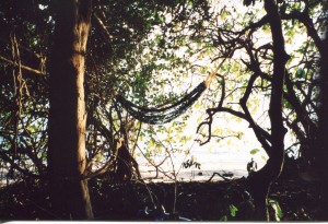 Hammock on Snapper Island